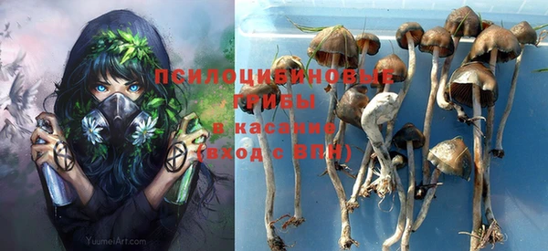 spice Абинск